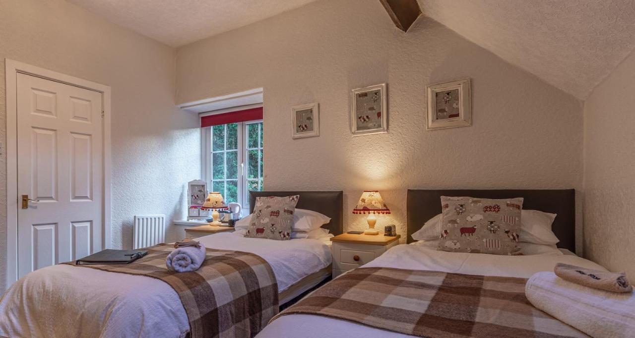 Glyntwrog House Bed & Breakfast Betws-y-Coed Exterior photo