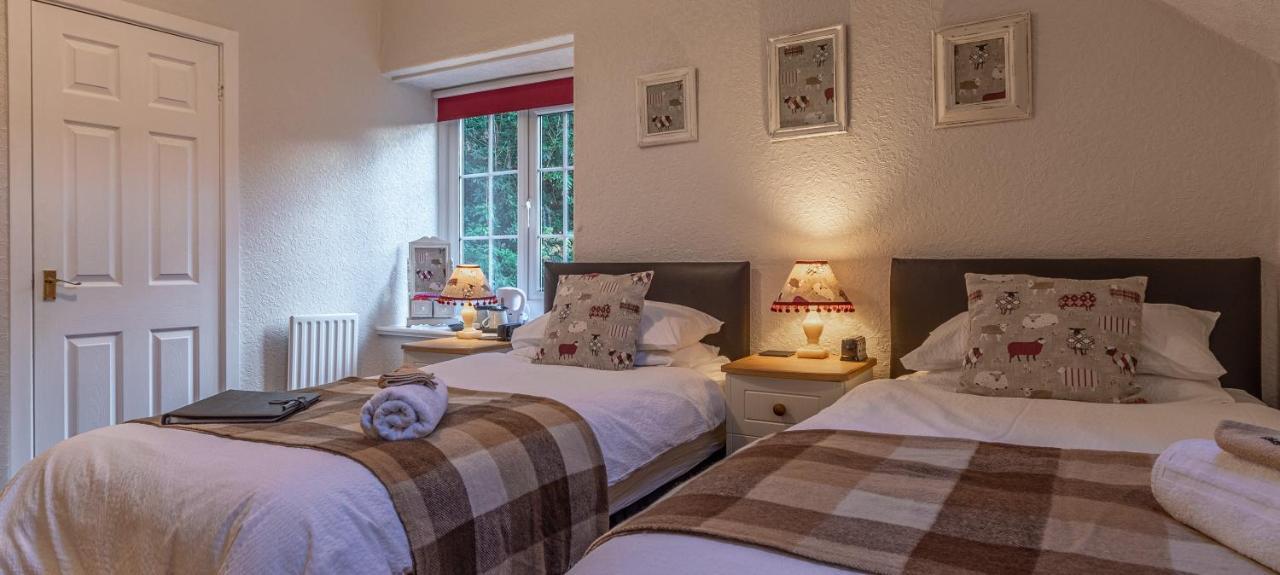 Glyntwrog House Bed & Breakfast Betws-y-Coed Exterior photo