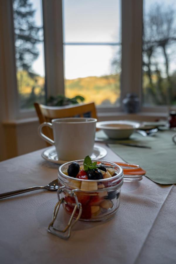 Glyntwrog House Bed & Breakfast Betws-y-Coed Exterior photo